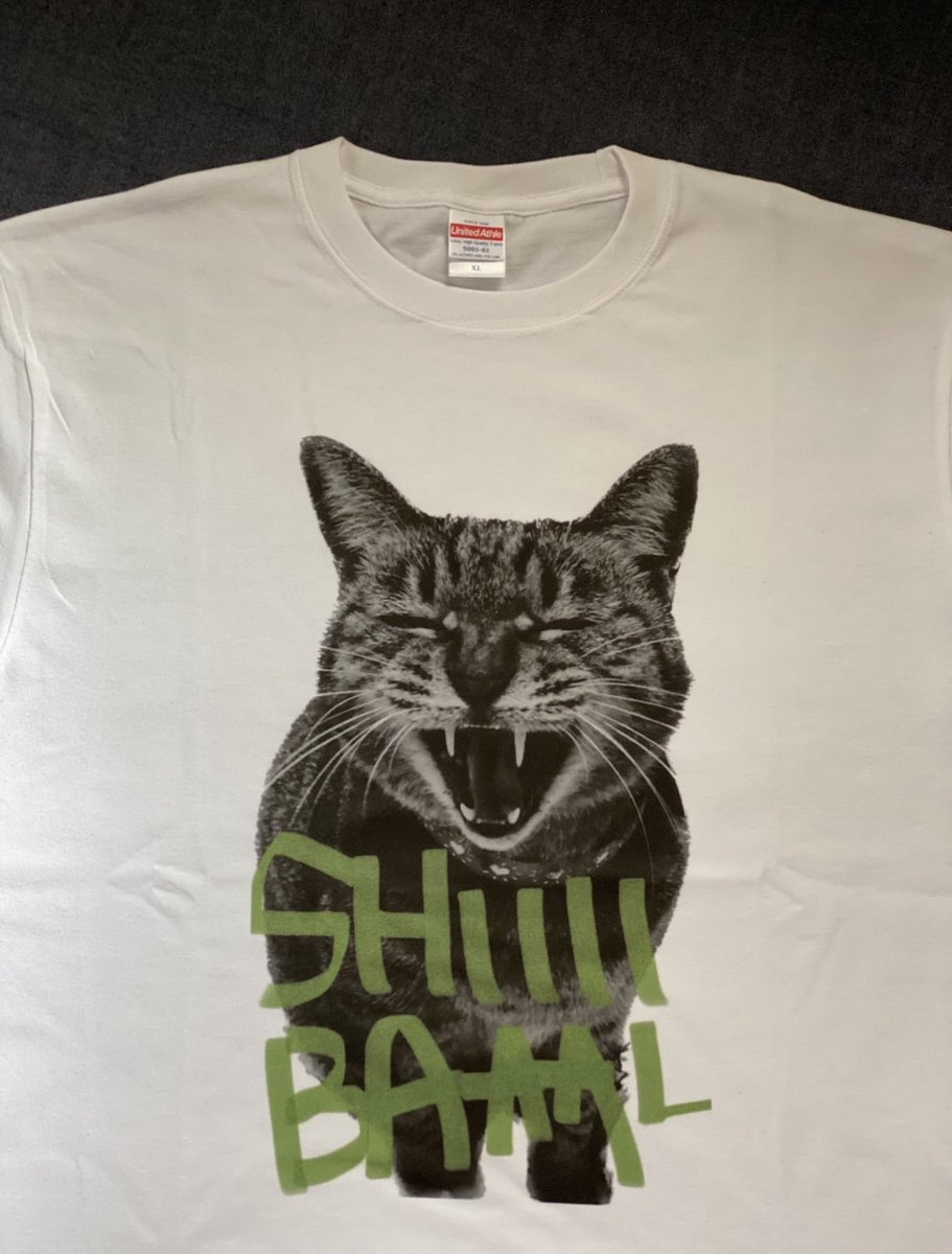 tomo ⁷ 𓃠 🏊‍♂️ tweet media