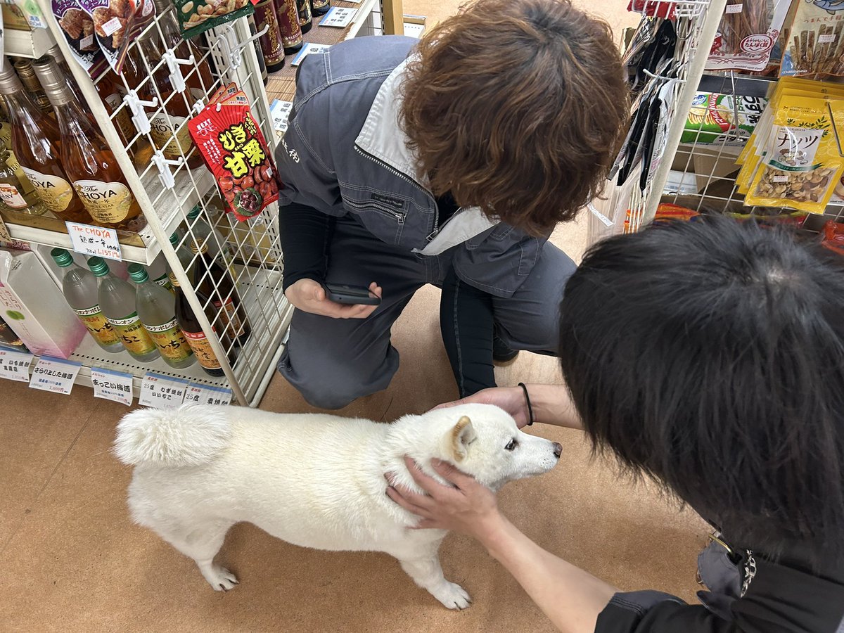 TKG.株式会社特殊高所技術 tweet media