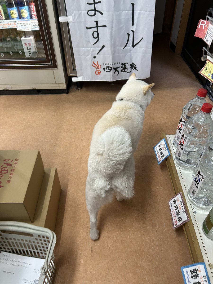 TKG.株式会社特殊高所技術 tweet media