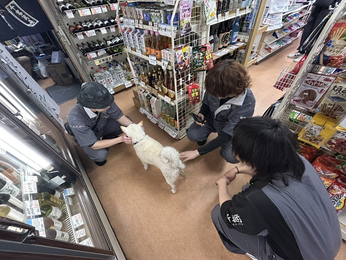 TKG.株式会社特殊高所技術 tweet media