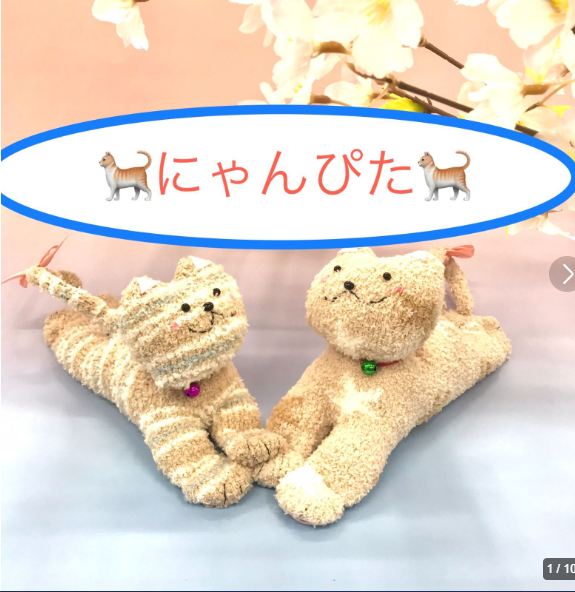 ココリティ@まこっぺ tweet media