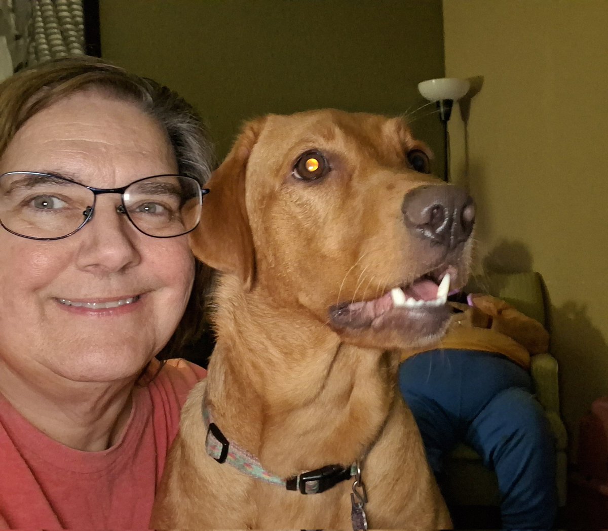 Crystal & Angel Delores 🐇🎀 tweet media