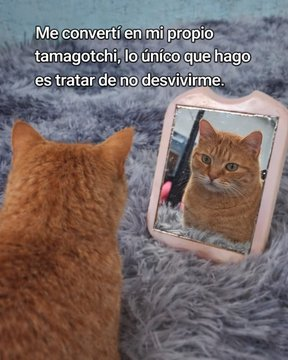 Pensamientos tweet media