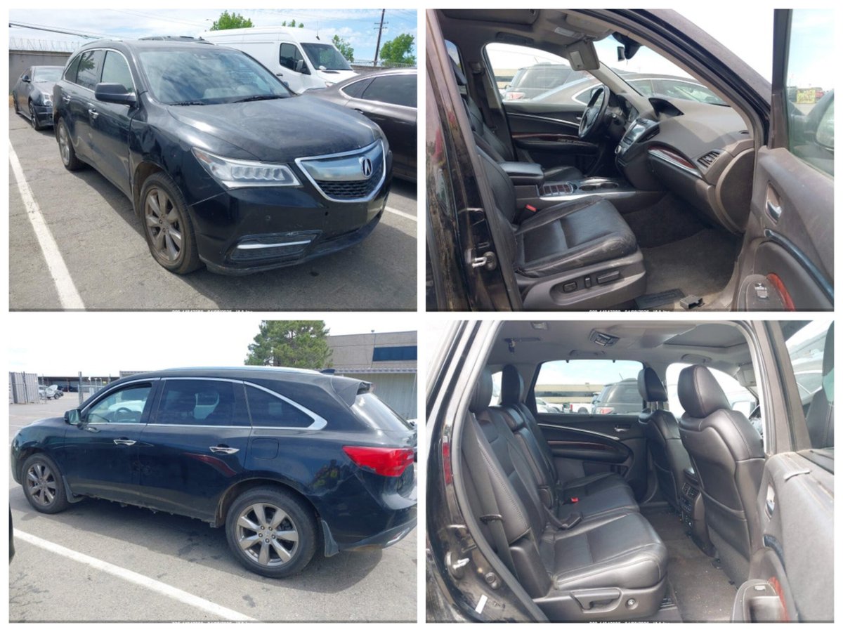 Auction Export tweet media