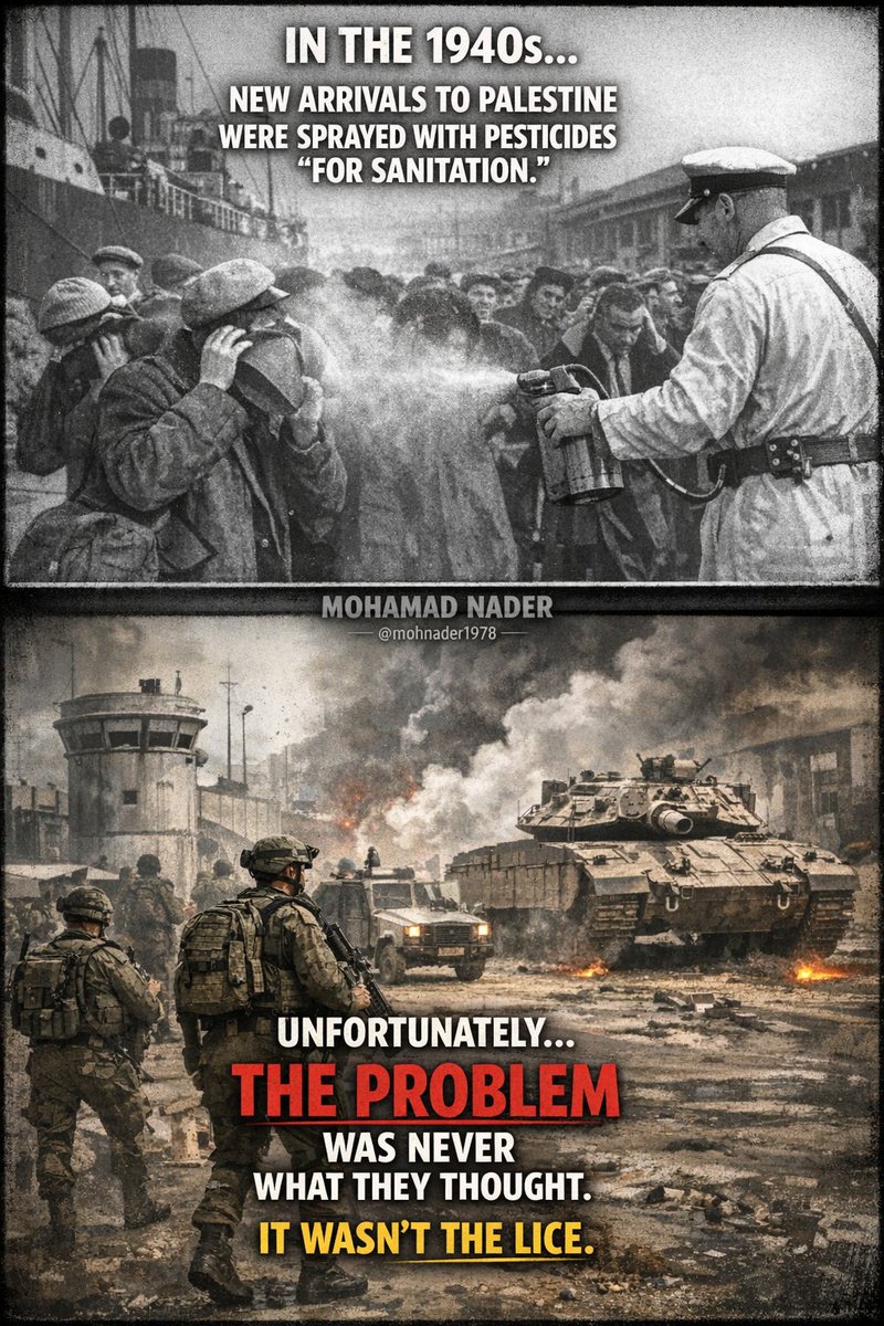 ☀️🇵🇸MOHAMAD NADER🇵🇸 ☀️ tweet media