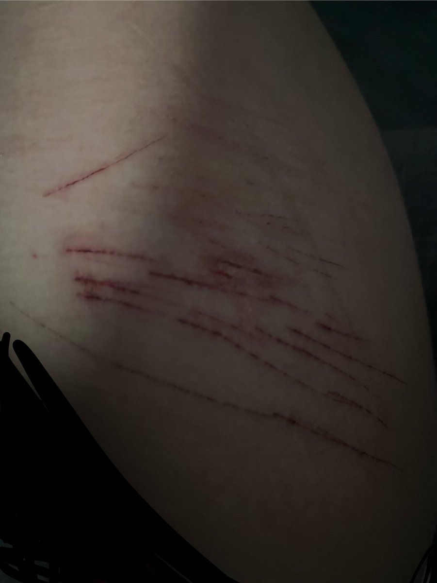 sei ৴ maomao tweet media