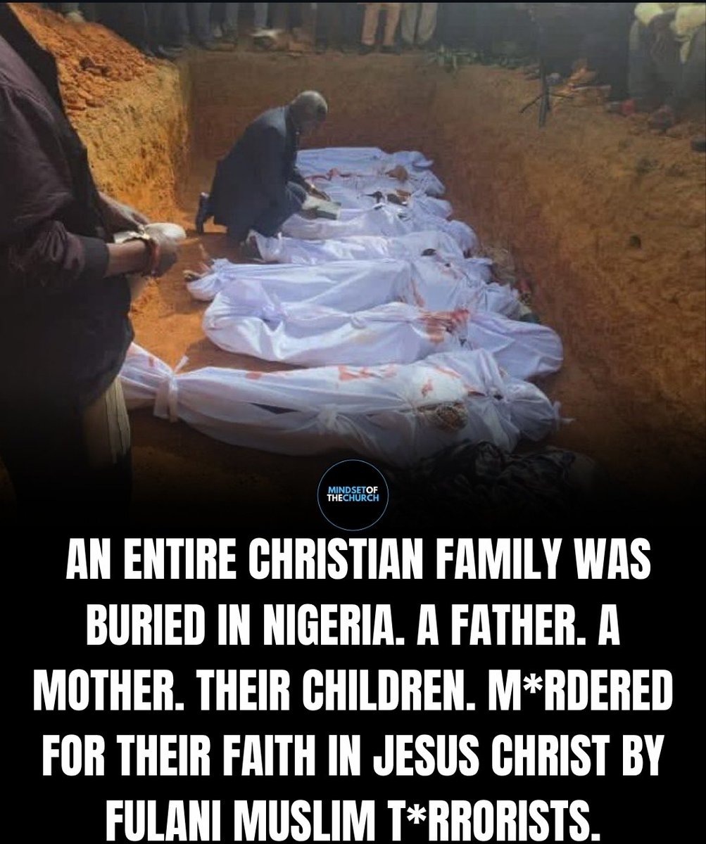 Robin Fernandes tweet media