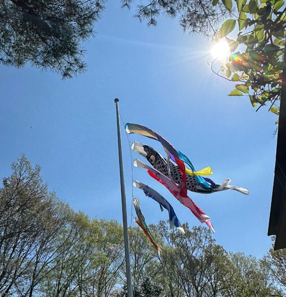 いわむらかずお絵本の丘美術館 tweet media