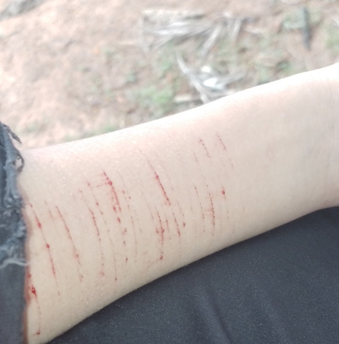 𝑇𝑜𝓶𝓪𝓽𝔂 ౨ৎ 🪽 「of shedtwt 」 tweet media