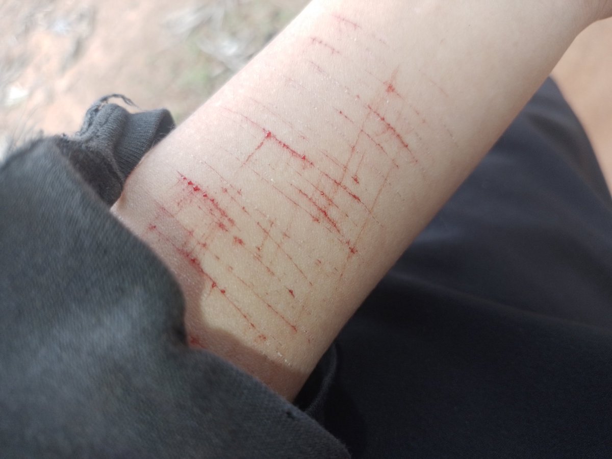 𝑇𝑜𝓶𝓪𝓽𝔂 ౨ৎ 🪽 「of shedtwt 」 tweet media