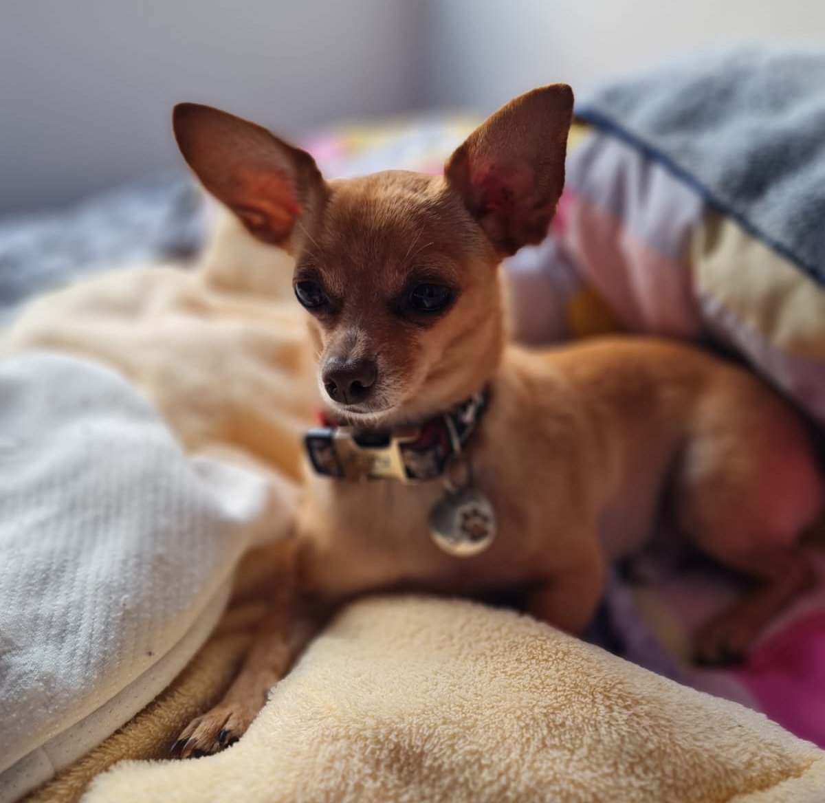 @Jemaco40 tweet media