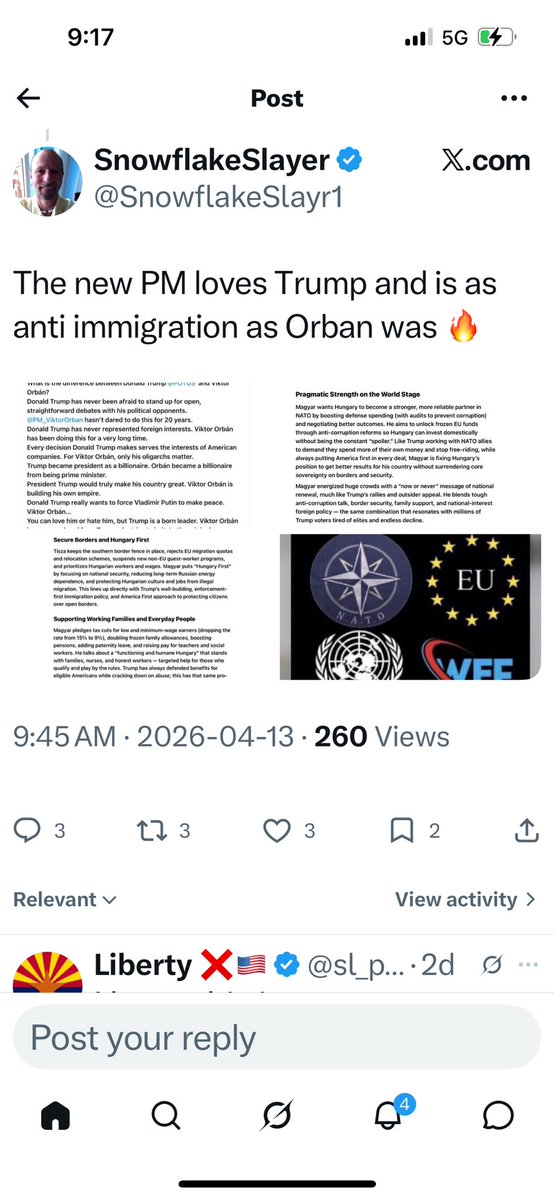 SnowflakeSlayer tweet media