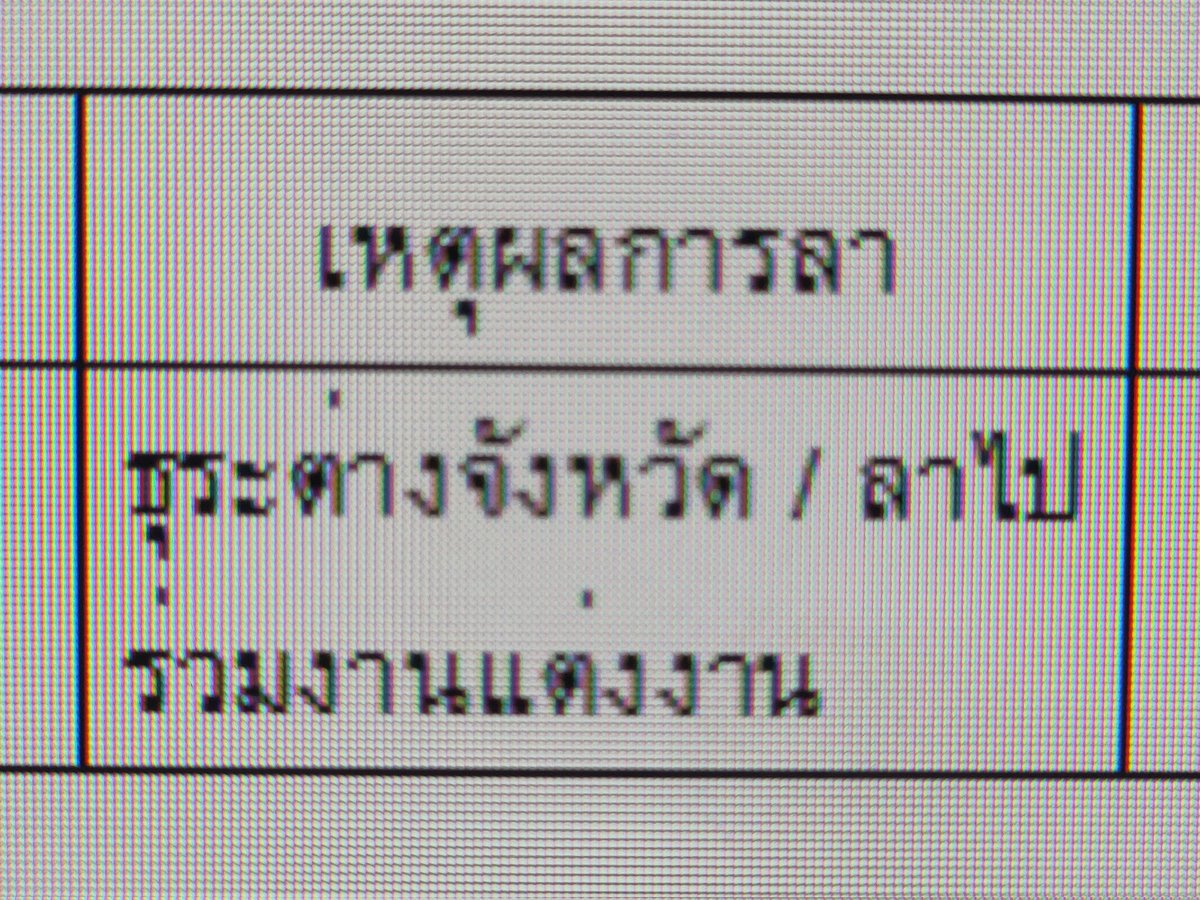 🎀✨️✨️ tweet media