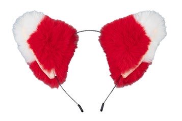 【鯉ほーち】スポーツ報知 Carp担当 tweet media