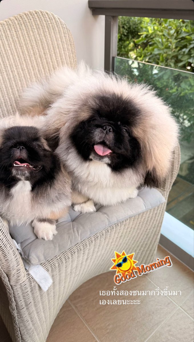 muffinp🧁 tweet media