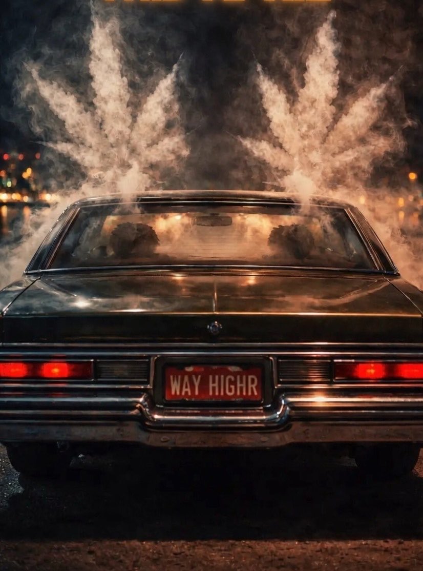 SlowBurn🖕💊🫸♻️🌿⚡️🏋️🌎☮️ tweet media