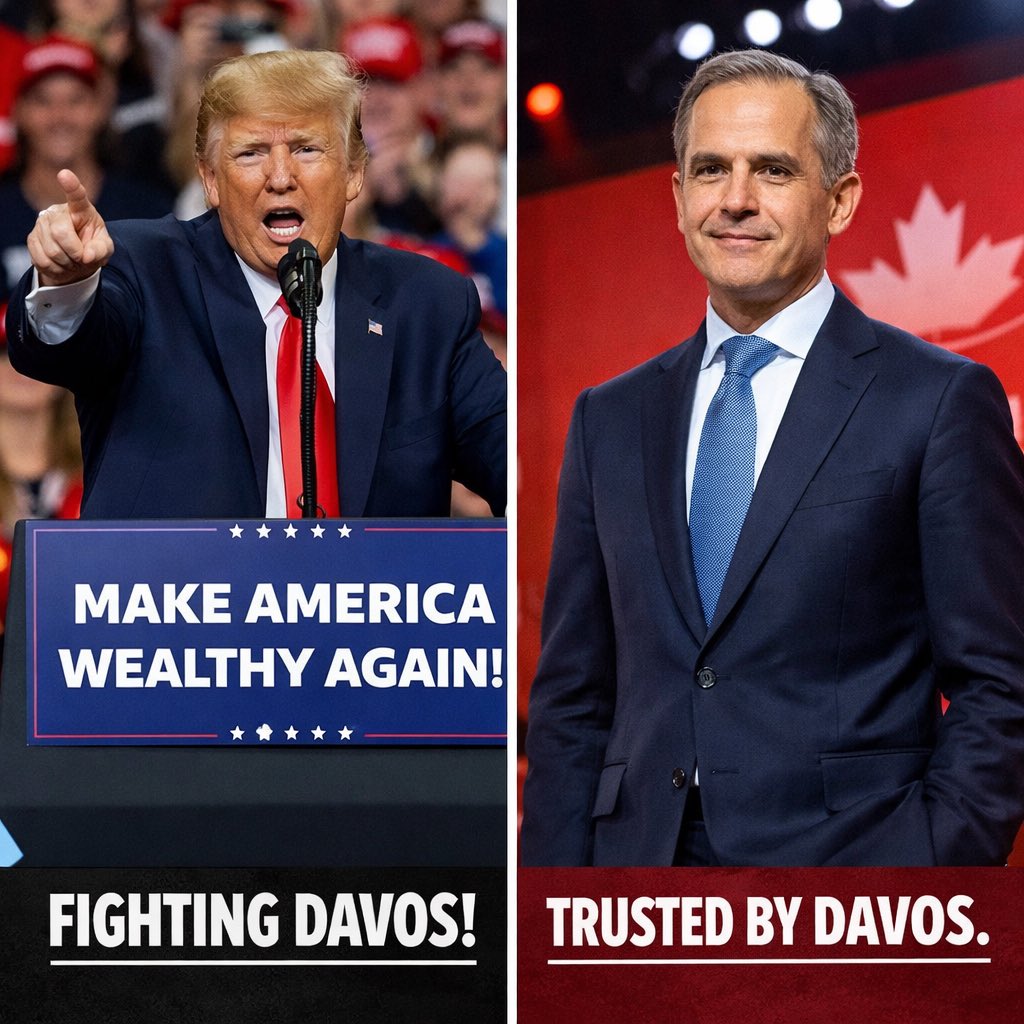 wealthmoose tweet media