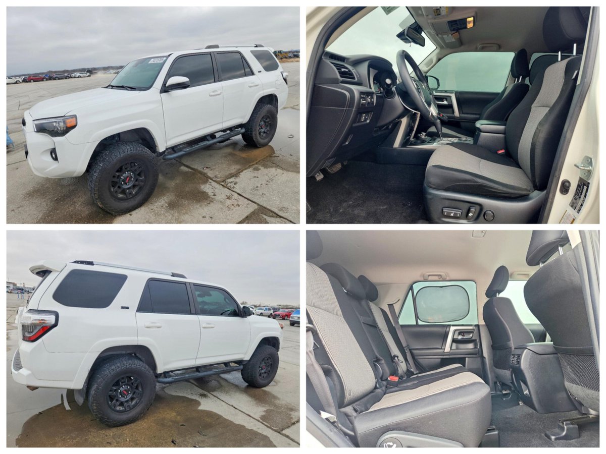 Auction Export tweet media