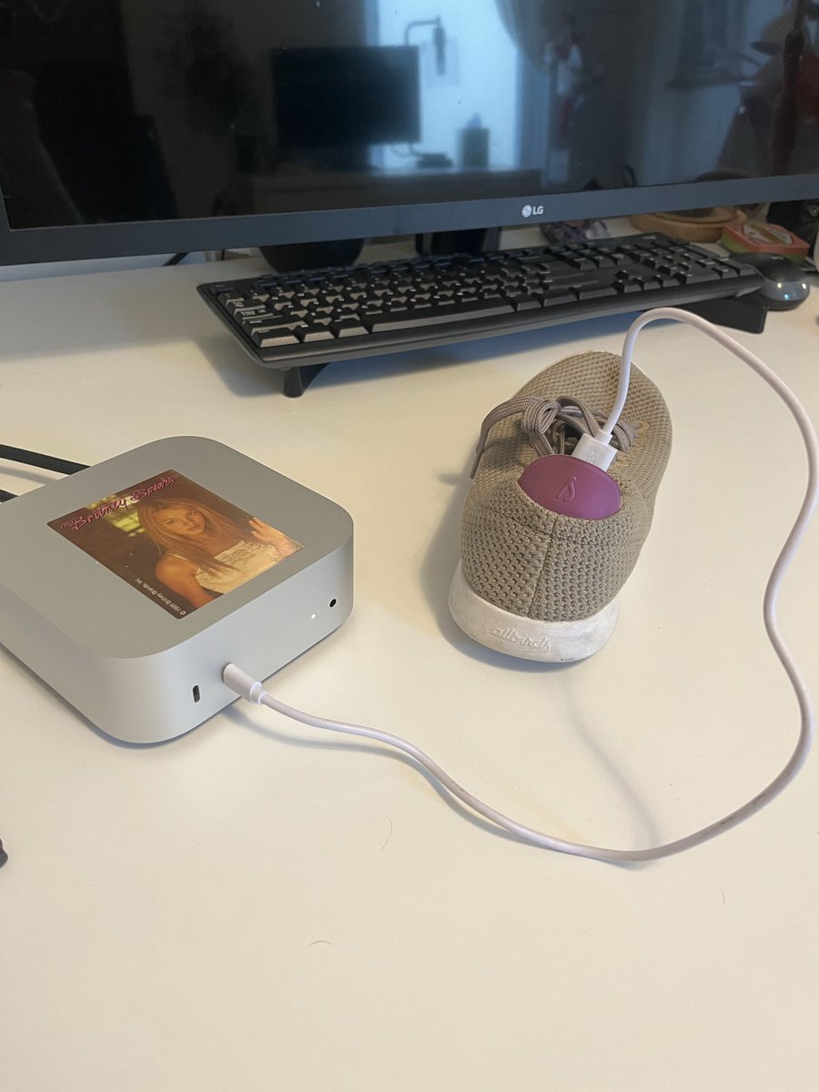 Eliza Kosoy tweet media