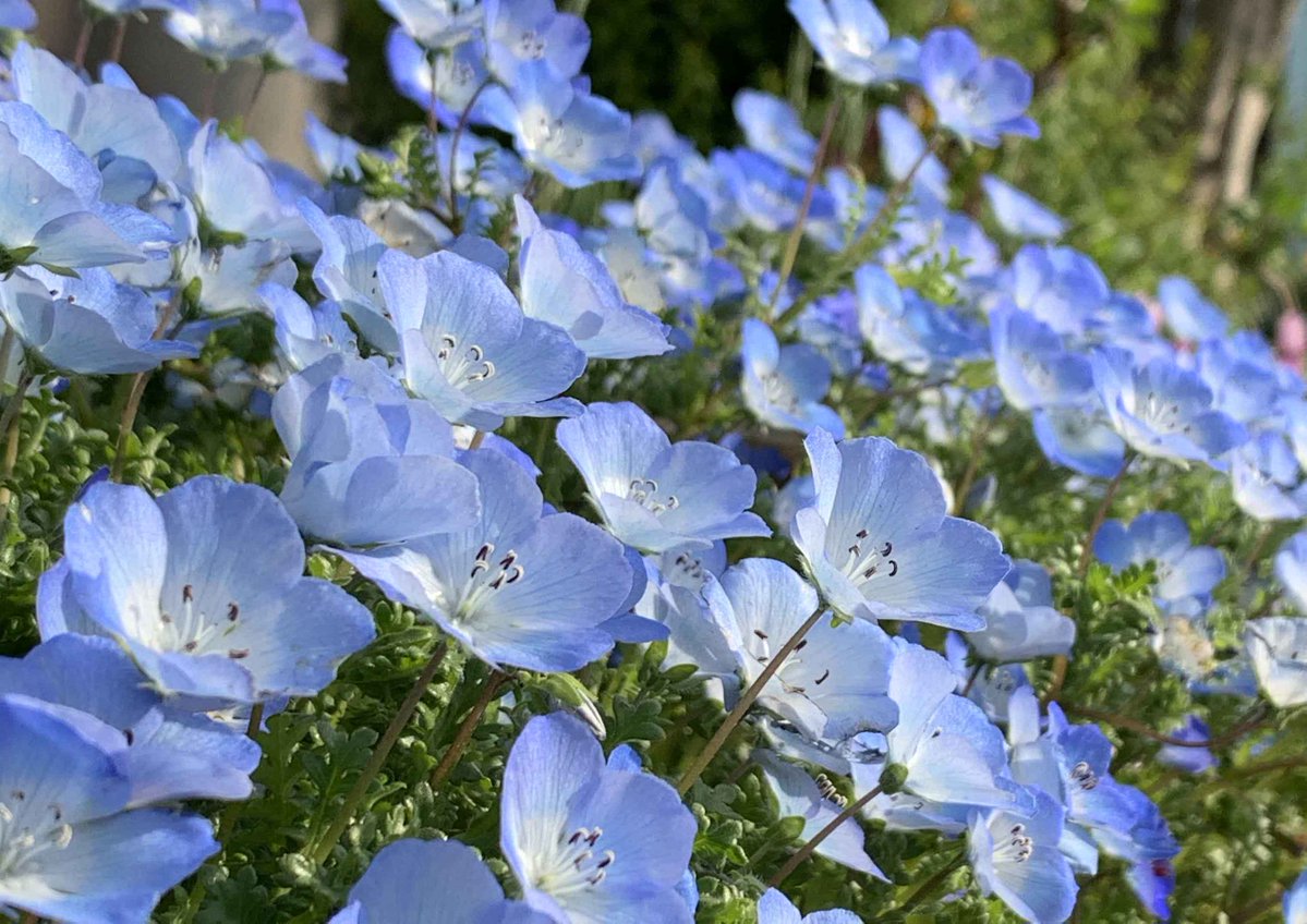 片柳弘史 tweet media