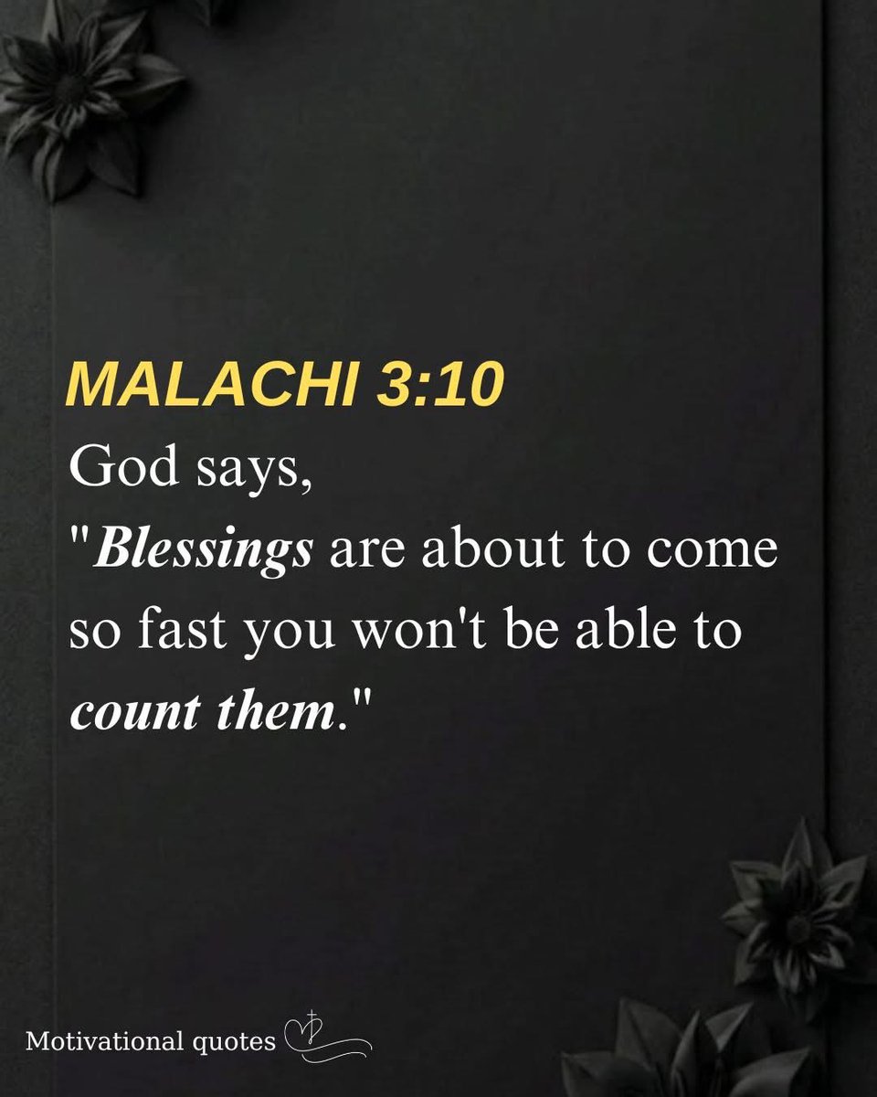 The Soul tweet media