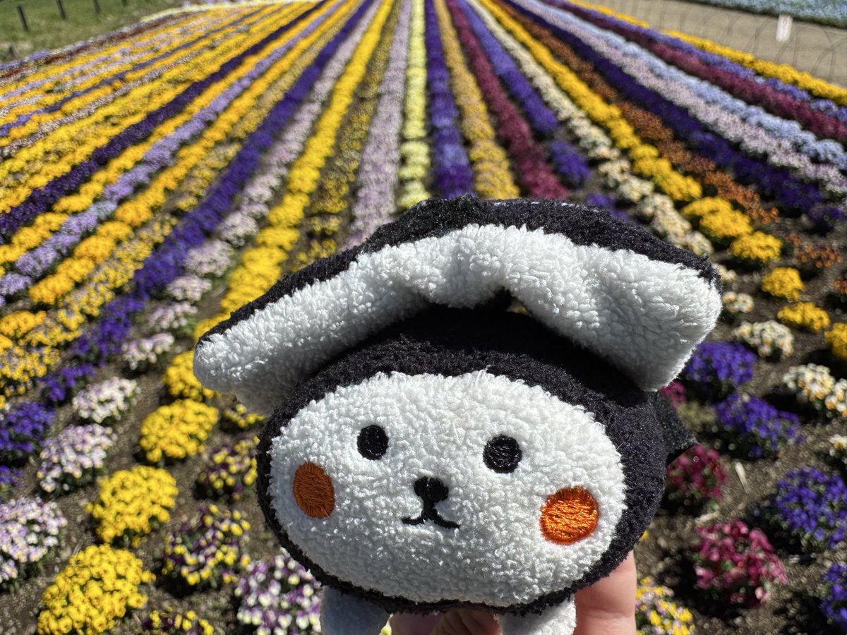 河口湖にきたよ。日本語が聴こえません🤭
#ぬい撮り　#とち介　#大石公園