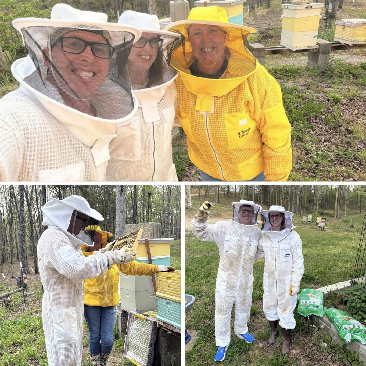 Dinosaur Ranger Anthony tweet media