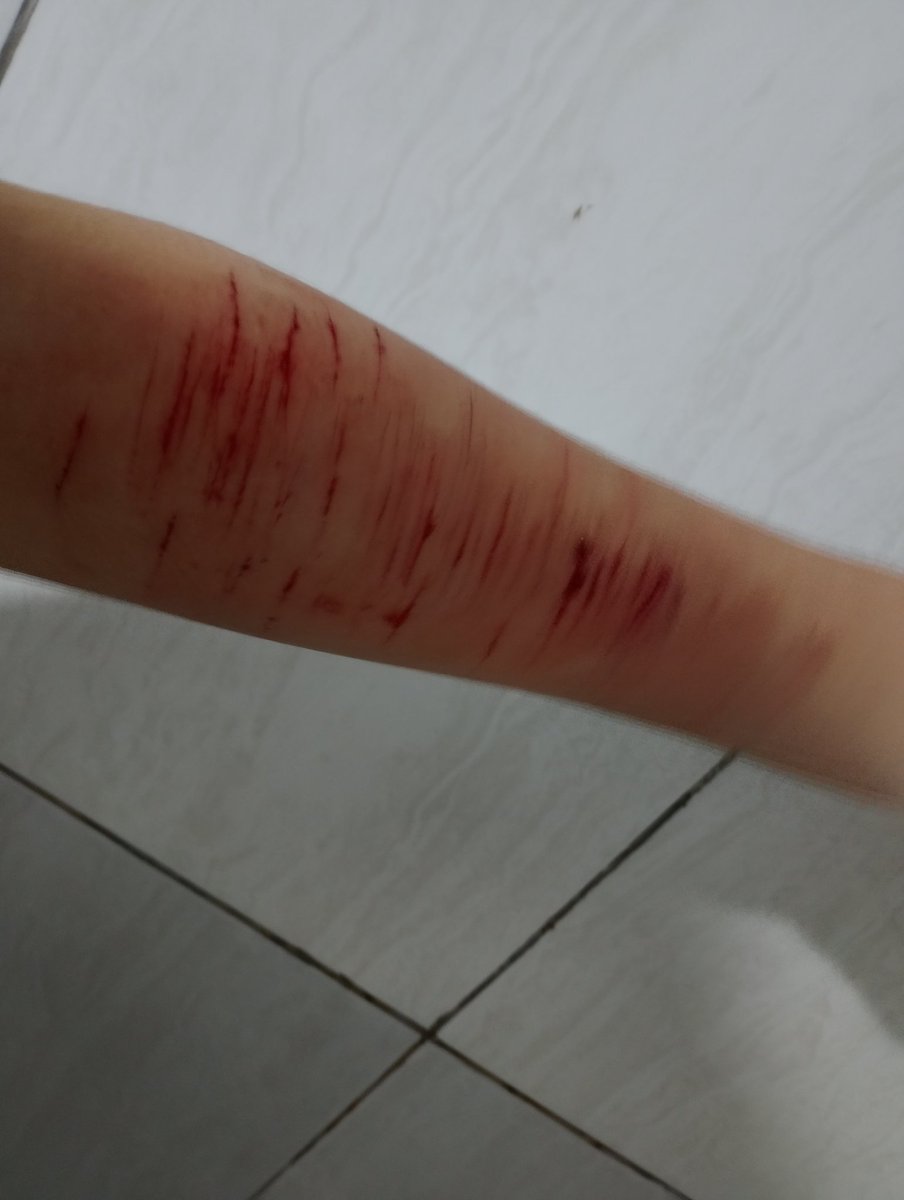 𝑇𝑜𝓶𝓪𝓽𝔂 ౨ৎ 🪽 「of shedtwt 」 tweet media