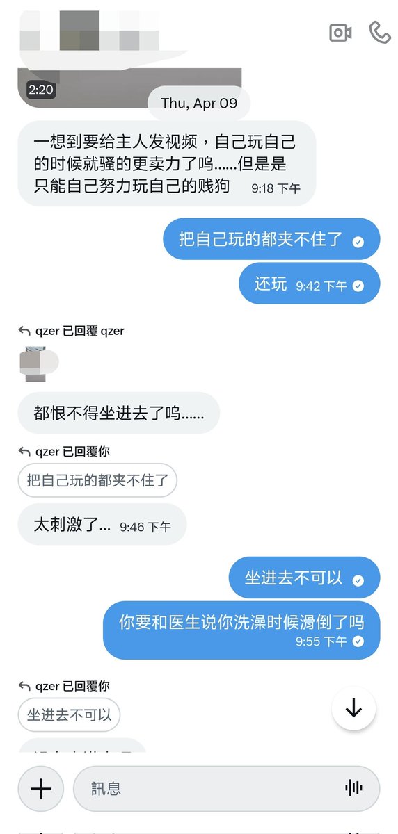 小狗观测日记 tweet media