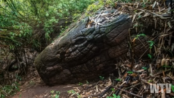 Michael Murphy tweet media