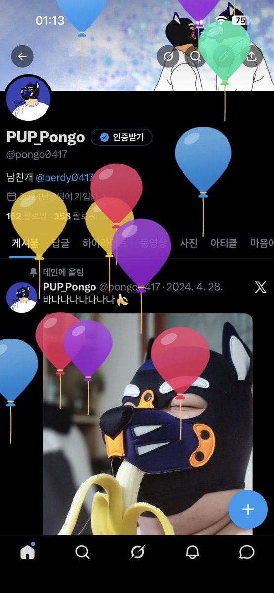 PUP_Pongo tweet media