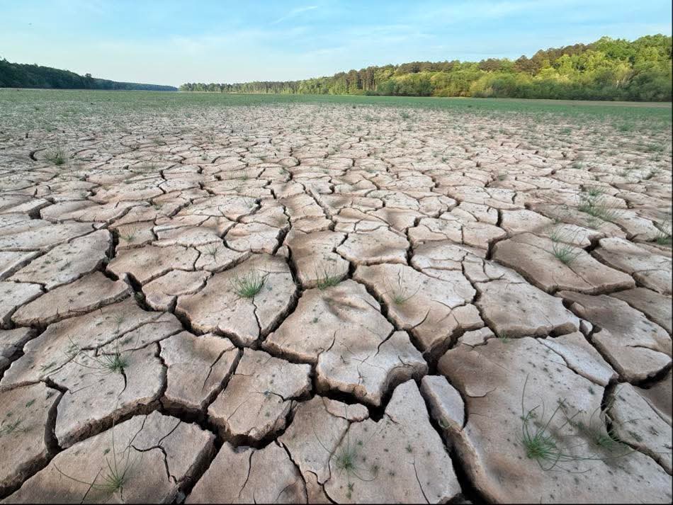 KyleNoelWx's tweet image. I don't think people understand how bad the drought has gotten here in North Carolina. One of WRAL reporters took this picture at Falls Lake, which is the main drinking water source for the city of Raleigh. #ncwx