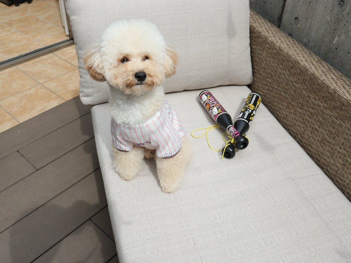 虎たろうSHOP🐯 tweet media