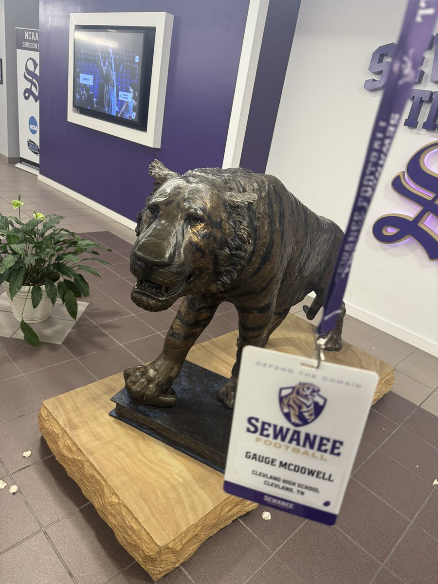 Gauge McD💫well 2027 tweet media