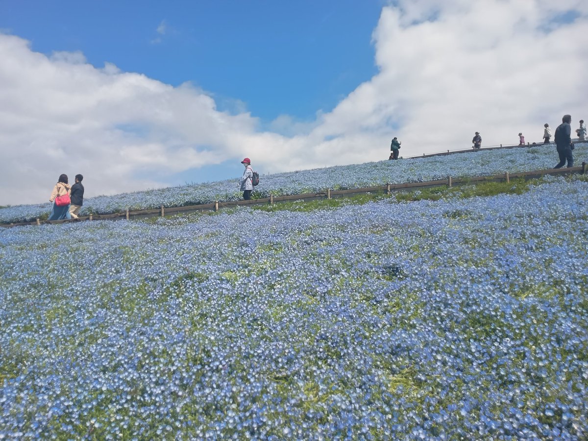 しゅんさん tweet media