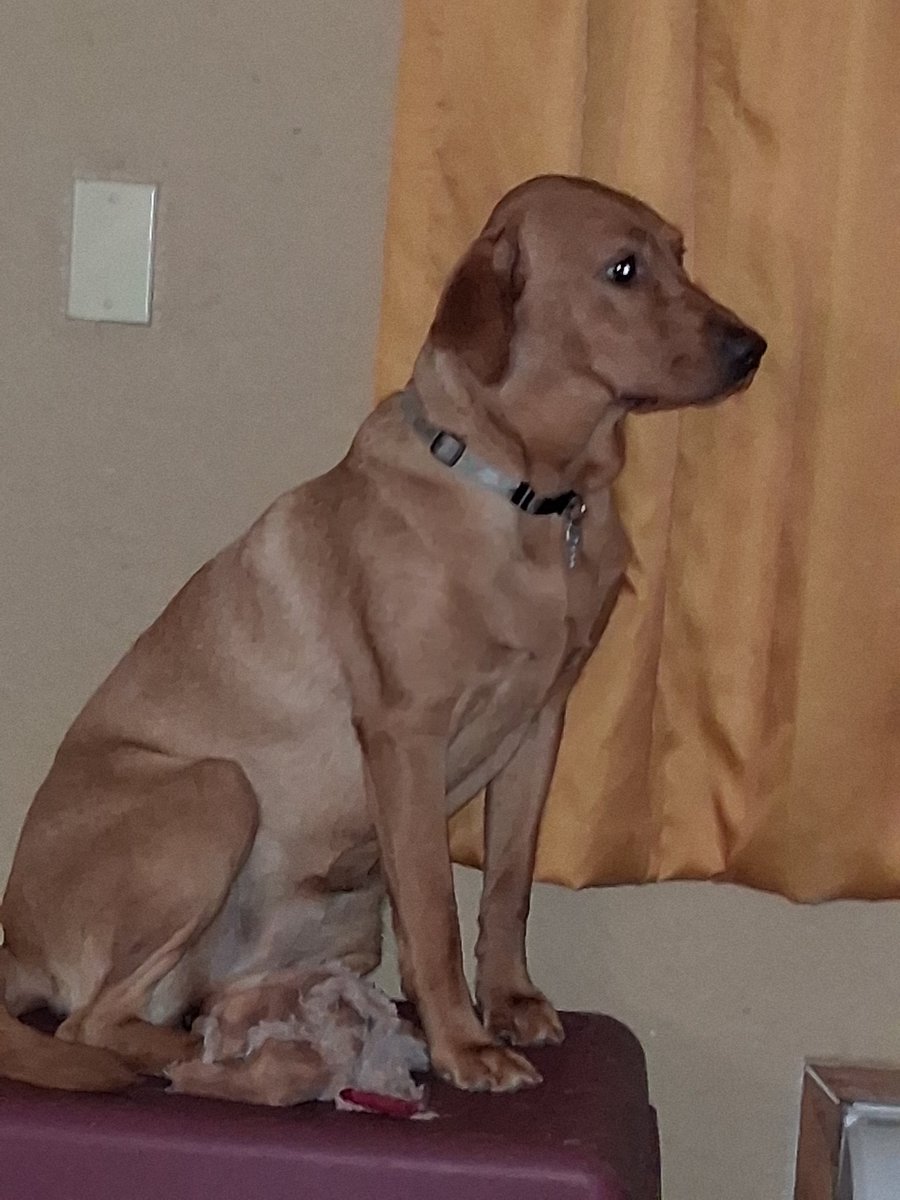 Crystal & Angel Delores 🐇🎀 tweet media