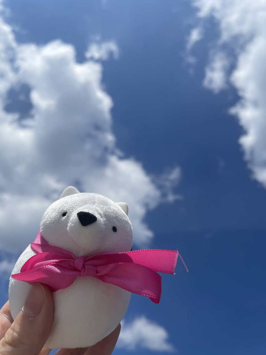 おはようございます！

今日は快晴で気持ちいいですね！
あたたかくて眠くなってしまいそうです🥱

今日頑張れば明日は華金です！みなさんも一緒に頑張りましょう！💪✨

本日もよろしくお願いします🙇‍♀️

#ドリムー
#企業公式ぬい撮り部