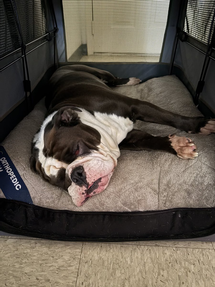 oLdSaLt 🇺🇸⚓ tweet media