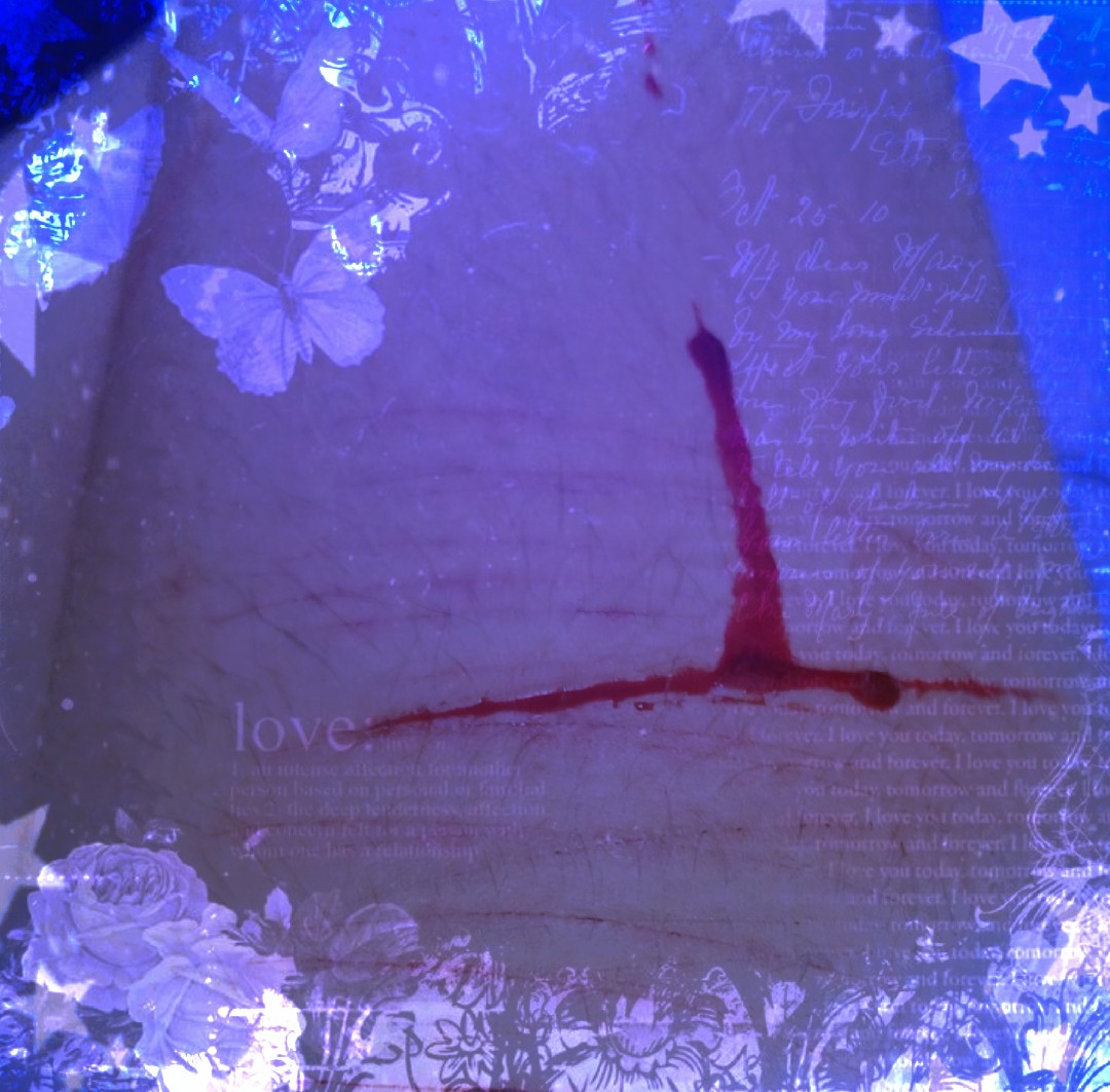 𝑇𝑜𝓶𝓪𝓽𝔂 ౨ৎ 🪽 「of shedtwt 」 tweet media