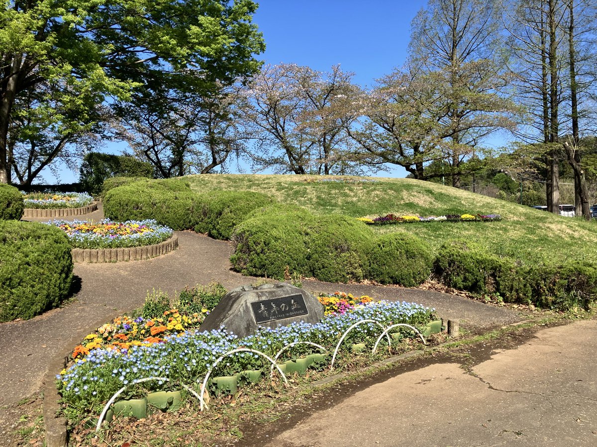 大崎公園【公式】 tweet media