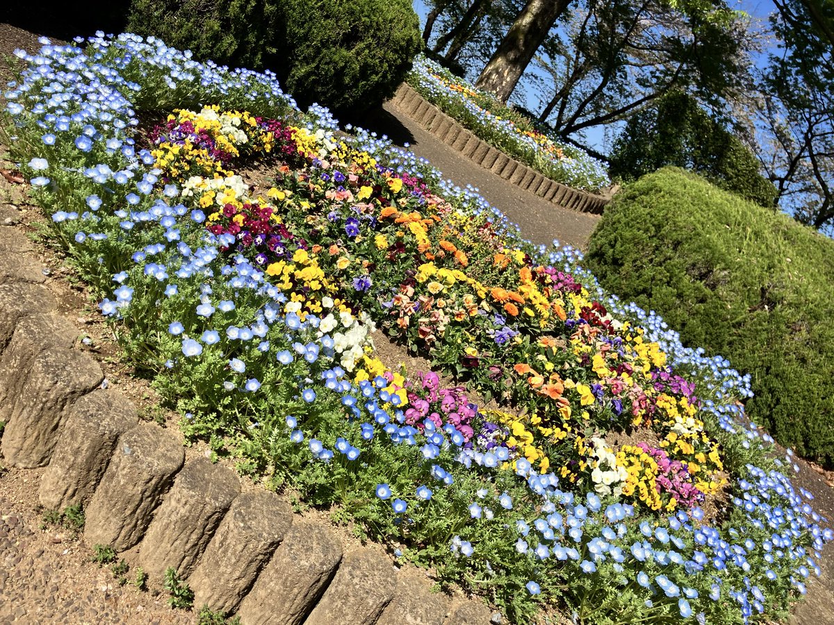 大崎公園【公式】 tweet media