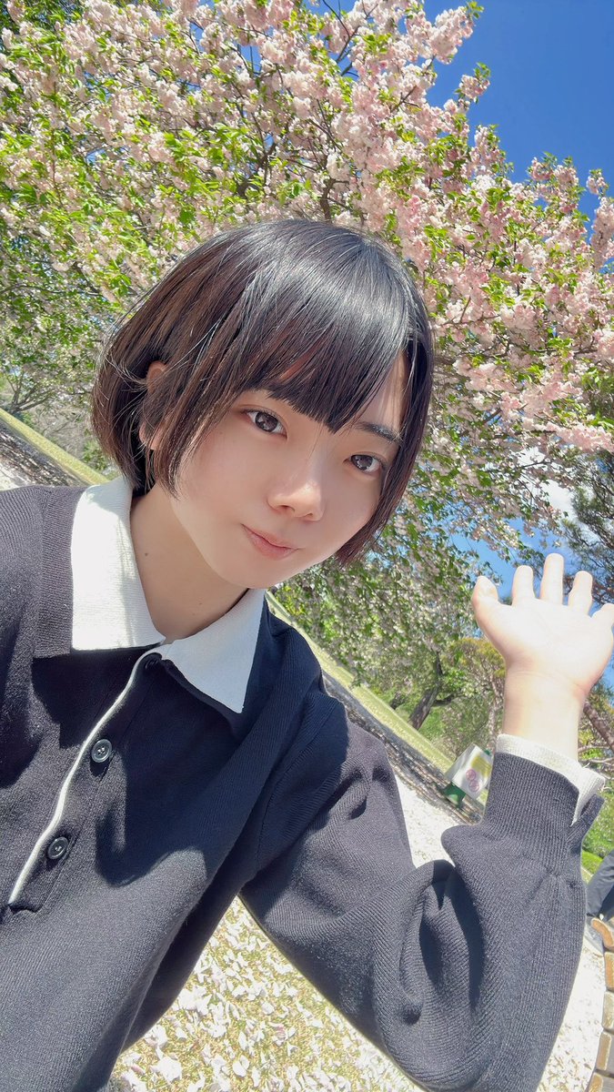 蒼依 ことり🐣 tweet media