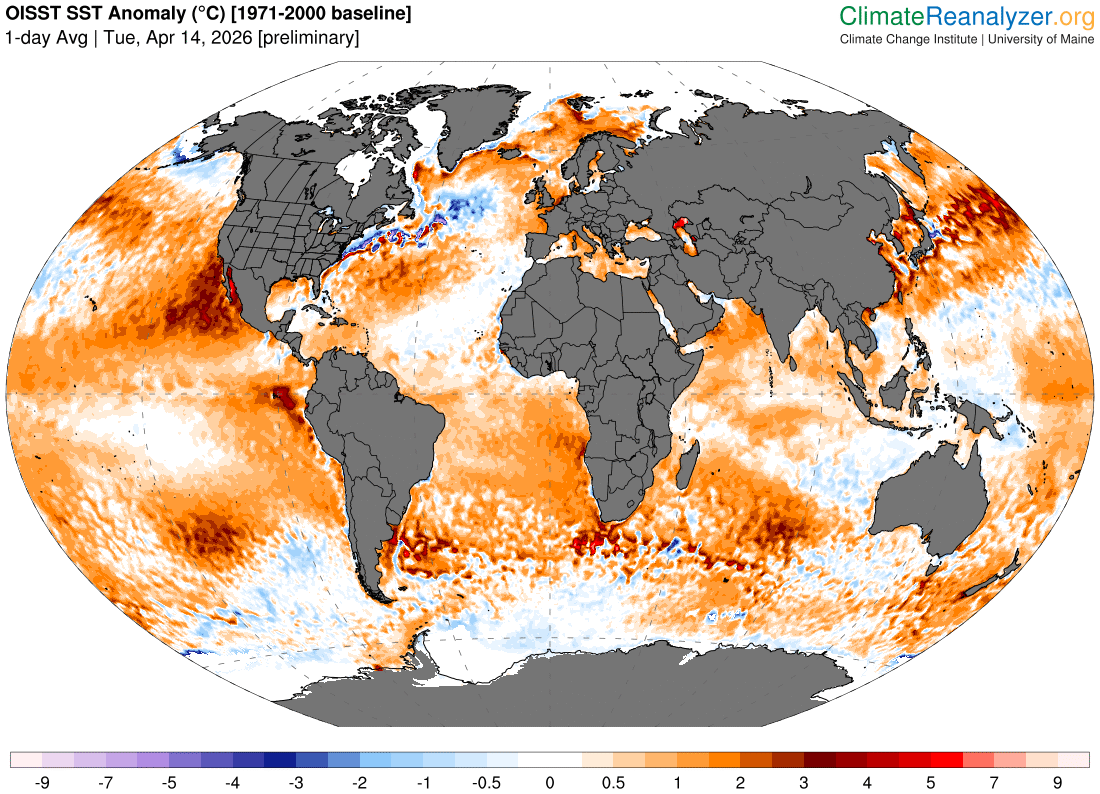 Colin McCarthy tweet media