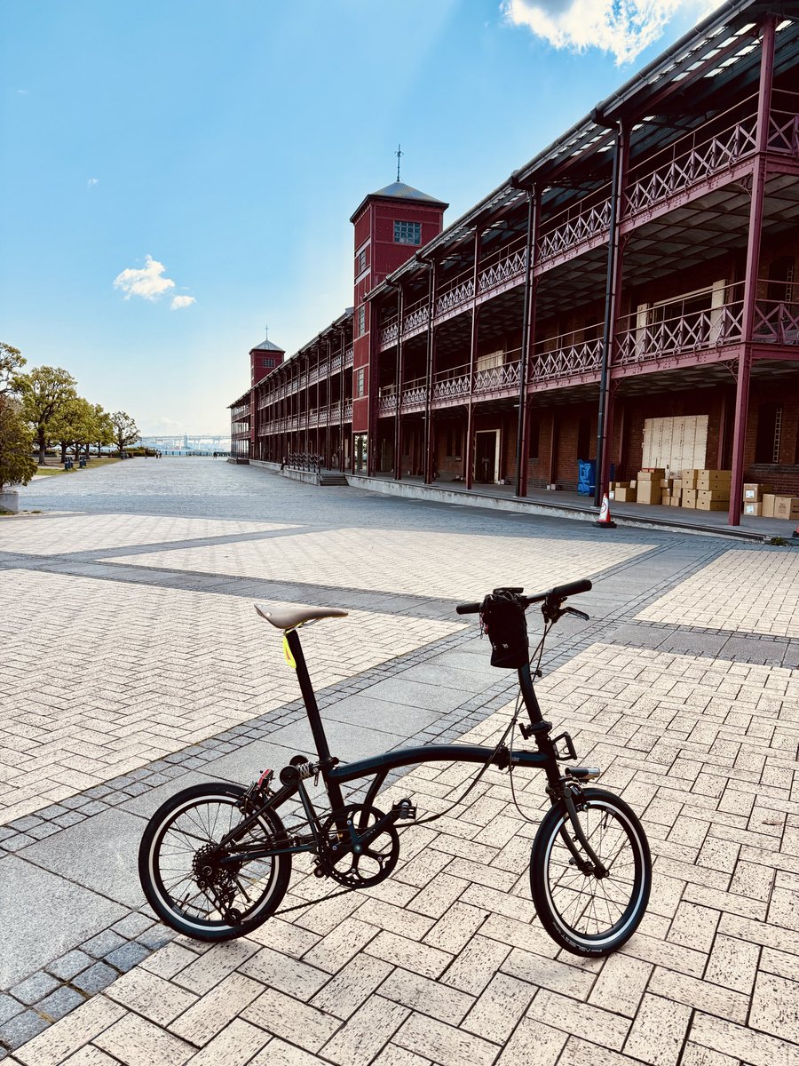 🚲Oy🚲 tweet media