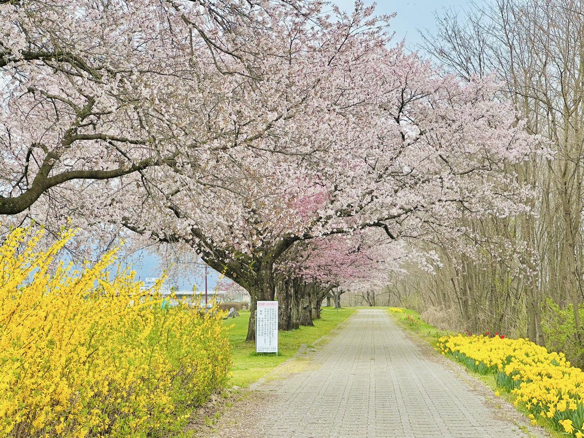 🍼ぽん太🧸 tweet media