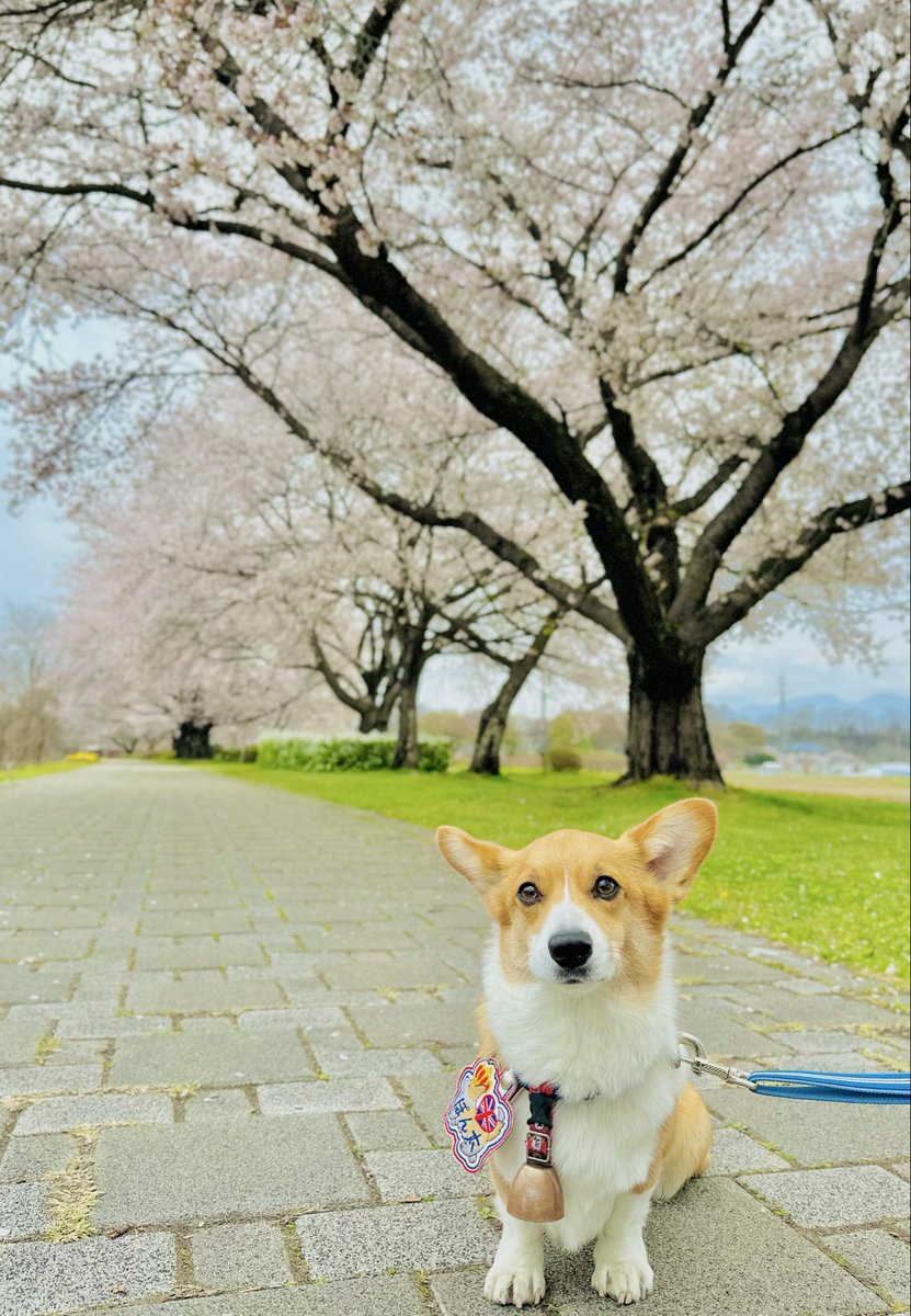 🍼ぽん太🧸 tweet media