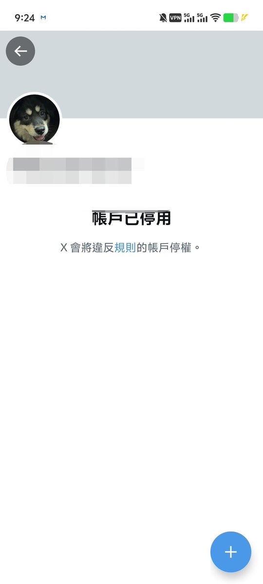 小狗观测日记 tweet media