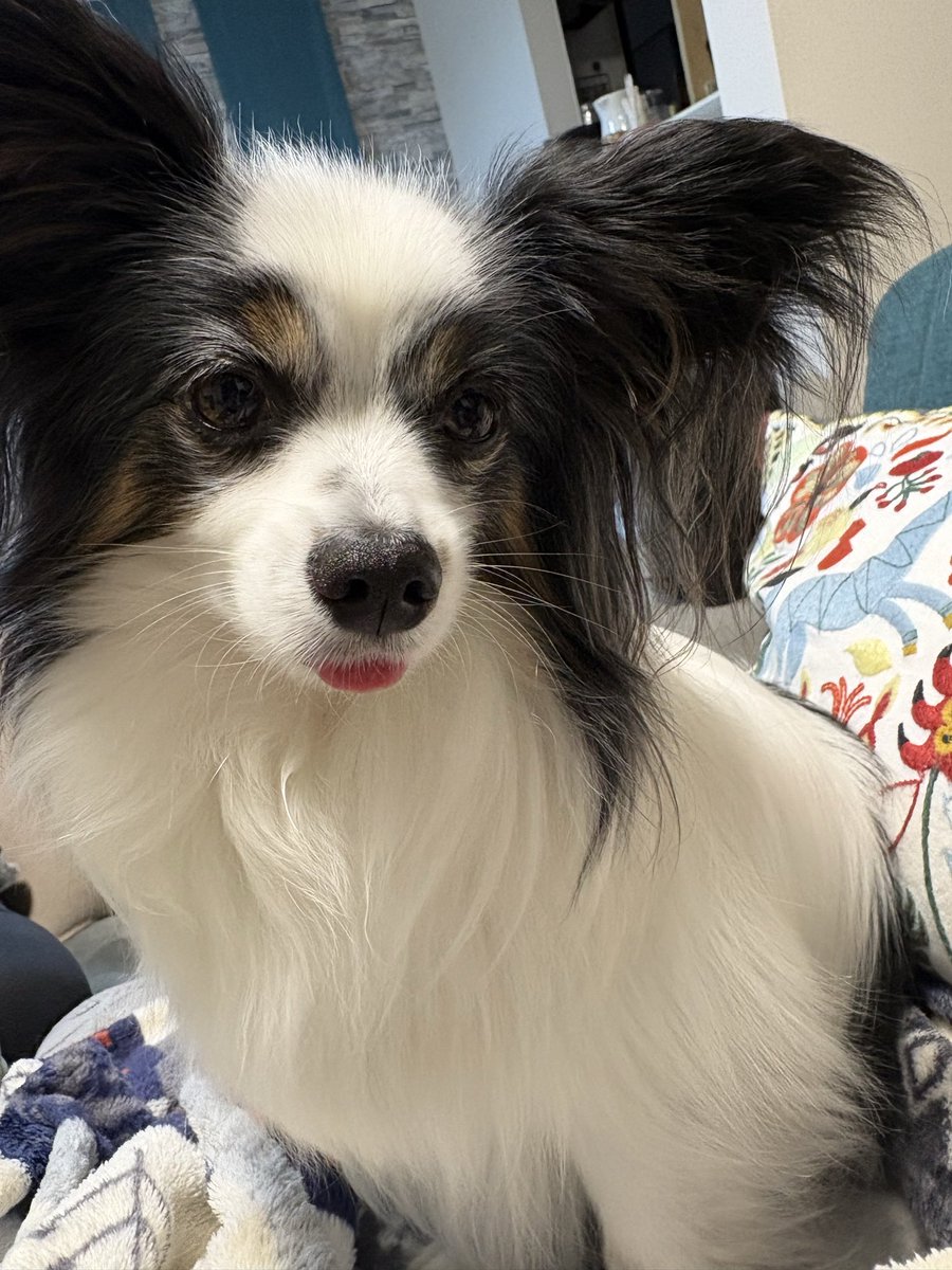 出てる、出てるよ〜

しまうの忘れてるよ〜〜〜〜