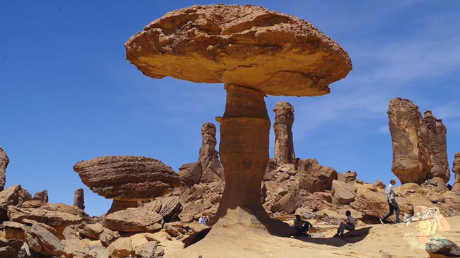 Michael Murphy tweet media