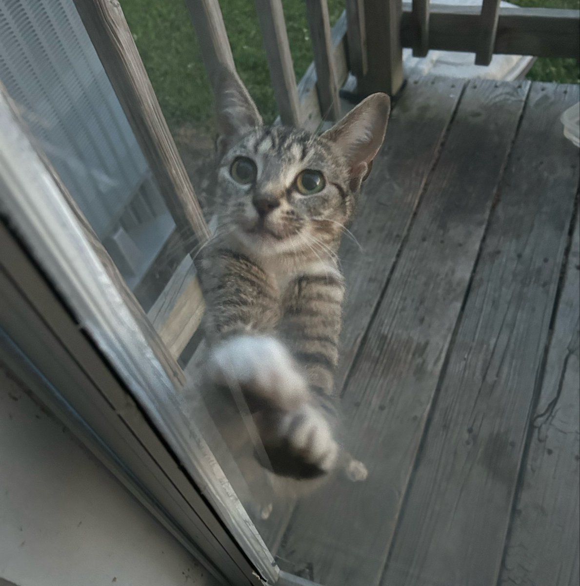 oLdSaLt 🇺🇸⚓ tweet media